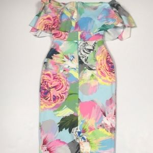 ASOS Floral Fitted Dress. Size 2 but can fit 4-6